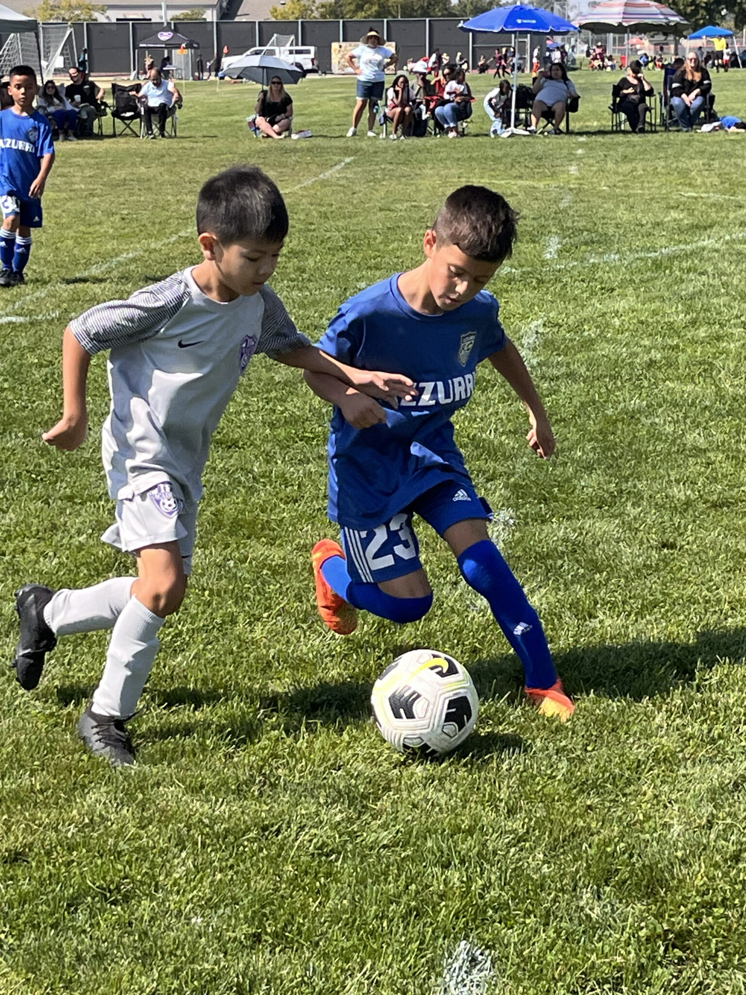 Yuba Sutter Competitive Soccer Azzurri Futbol Club